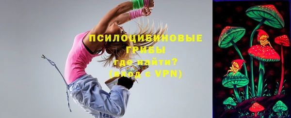 дмт Алексин