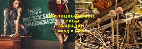 дмт Алексин