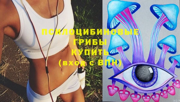 соль ск Алексеевка