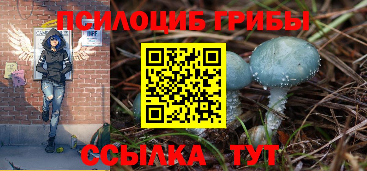 Псилоцибиновые грибы GOLDEN TEACHER  Вход с VPN  Псилоцибиновые грибы мицелий  Волжский 